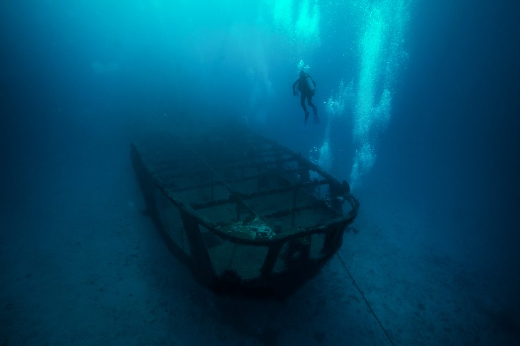 fotógrafo y videografo submarino, debajo del agua en México. fotógrafo y videografo submarino, debajo del agua en México.